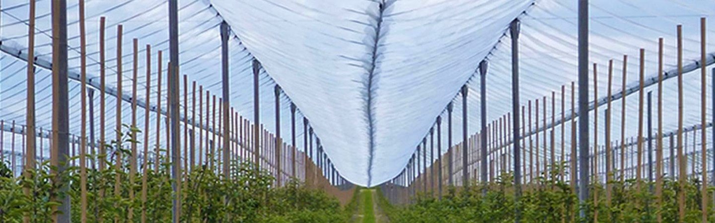 Ginegar Anti Hail Net Leno