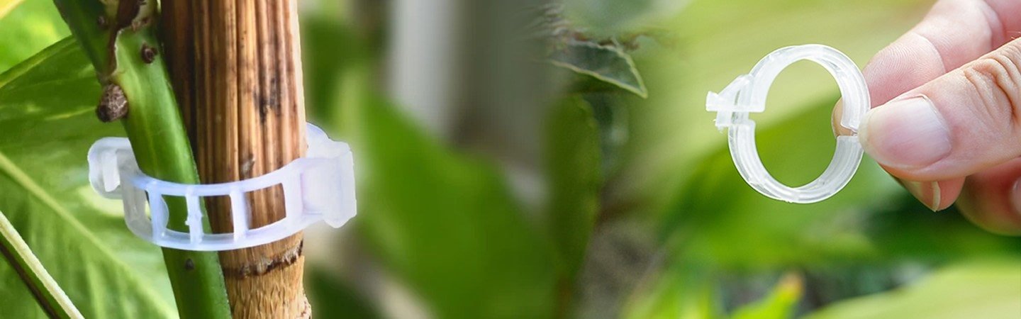 Tomato Clip White 23mm