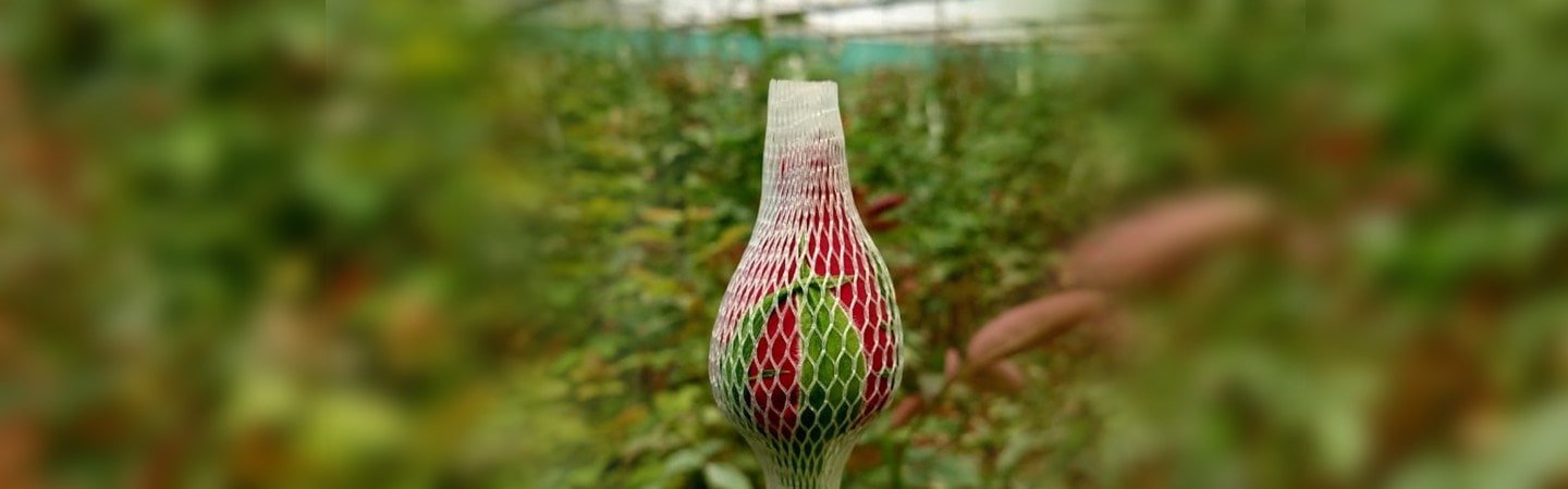 Agrifirst Rose Bud Cap