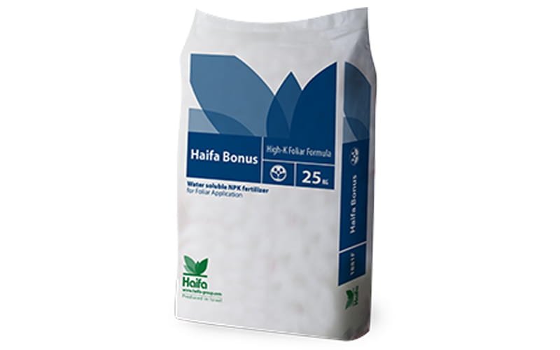 Haifa Bonus