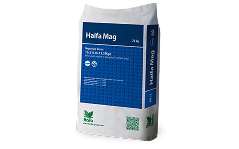 Haifa Mag