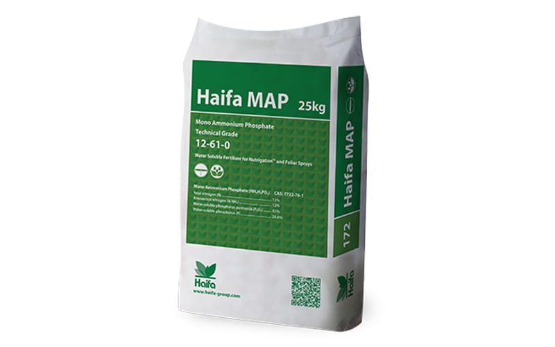 Haifa MAP