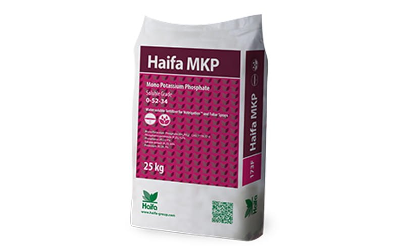 Haifa MKP