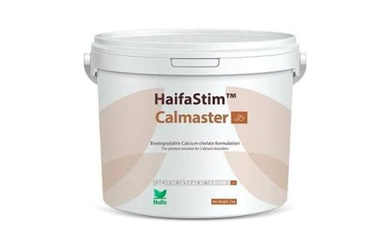 HaifaStim Calmaster