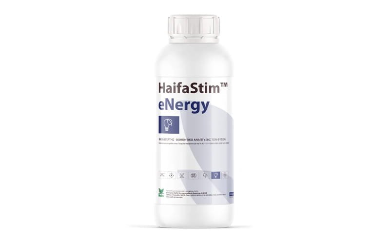HaifaStim eNergy