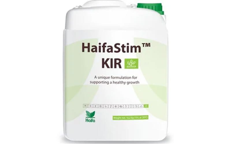 HaifaStim KIR