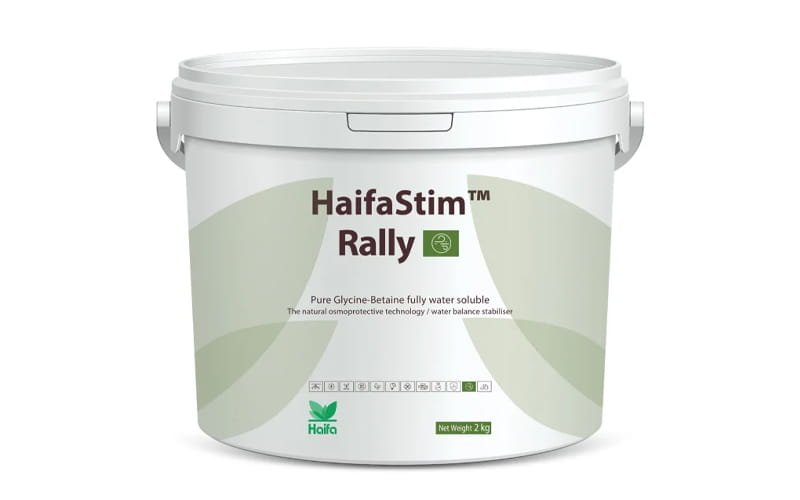 HaifaStim Rally