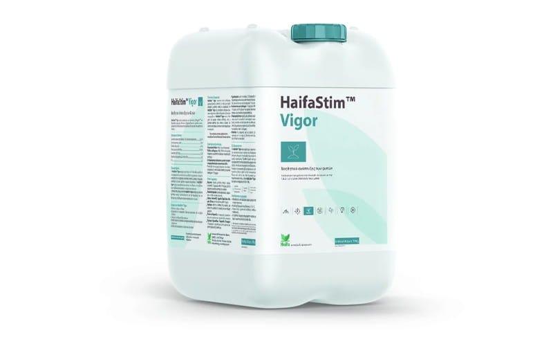 HaifaStim Vigor