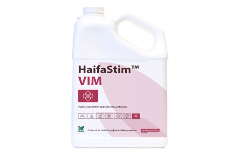 HaifaStim VIM