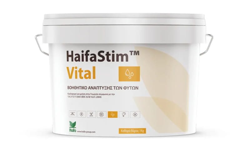 HaifaStim Vital
