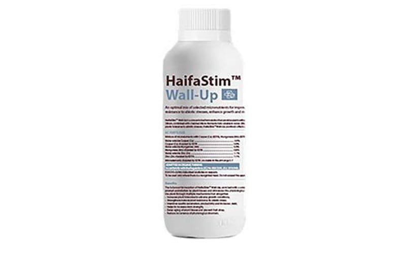 HaifaStim Wall-Up