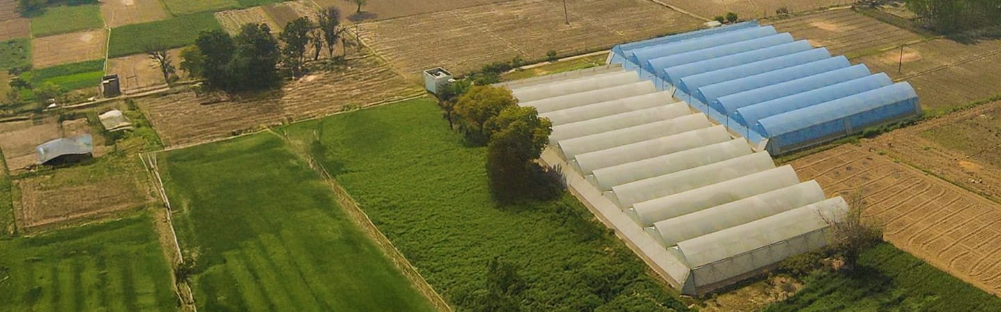 Naturally Ventilated Polyhouse