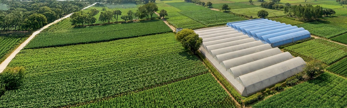 Greenhouse & Polyhouse Solutions