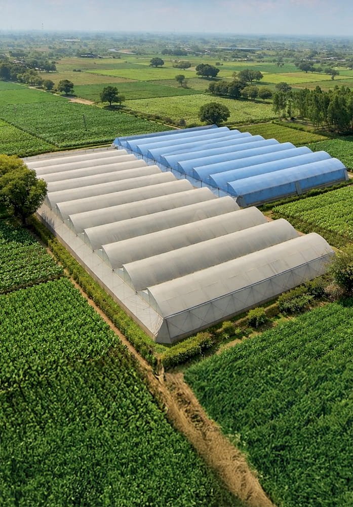 Naturally Ventilated Polyhouse