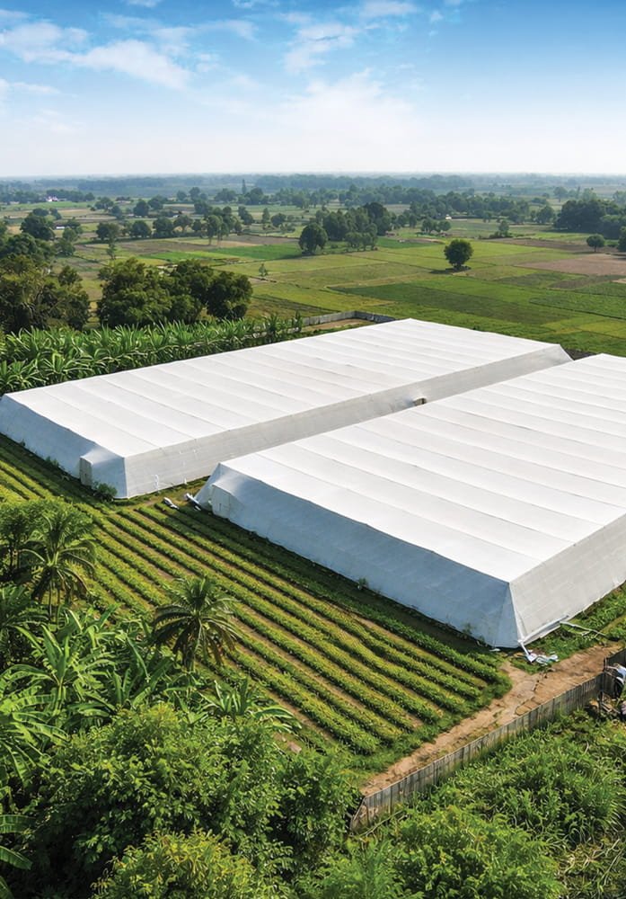 Flat-Roof Shade Net House