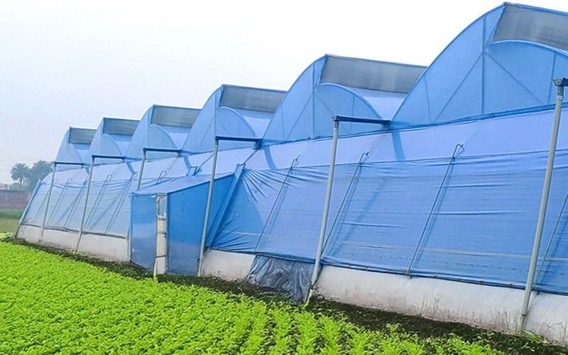 Ginegar Driplock Diffused Blue