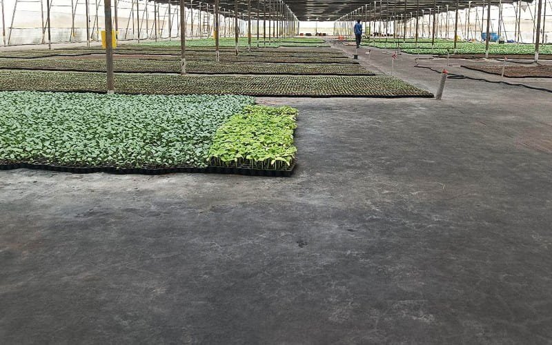 Weed Mat (Ground Cover) 90 GSM