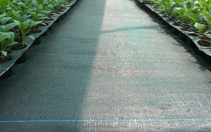Weed Mat (Ground Cover) 100 GSM