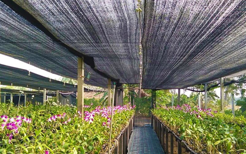 Agrifirst Shade Net (Tape x Tape)