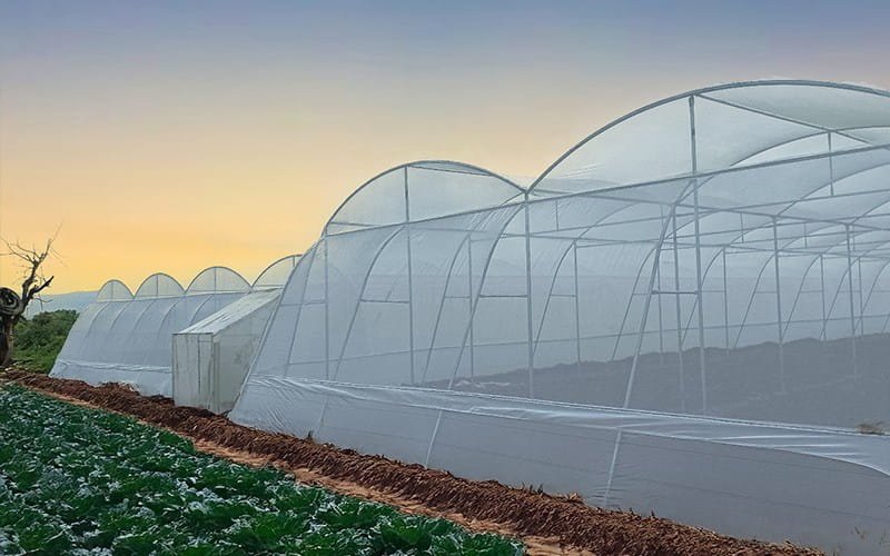 Agrifirst Shade Net (Mono x Mono)