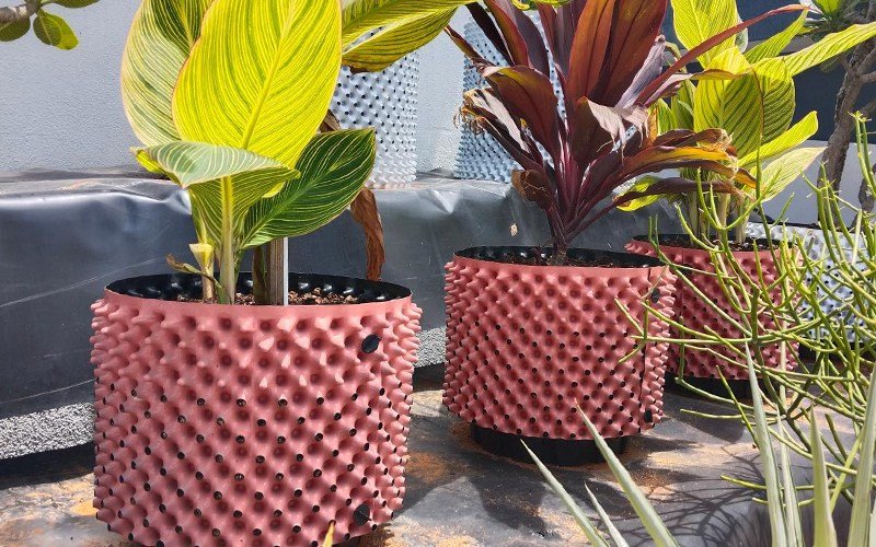 Agrifirst Right Pot Plus