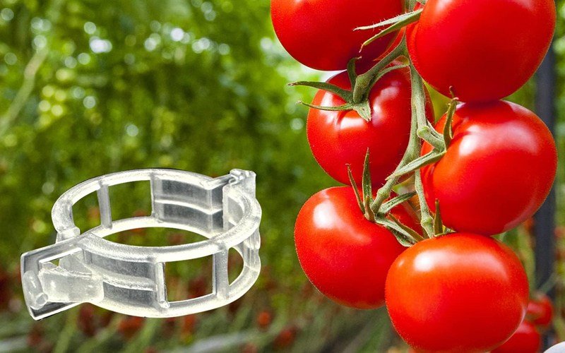 Tomato Clip White 23mm