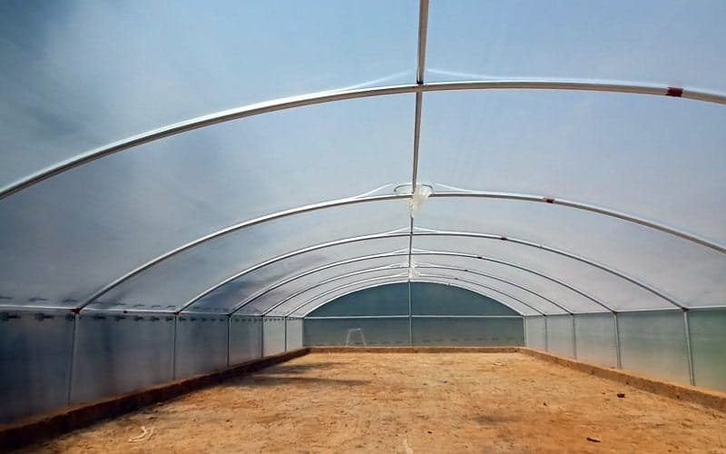 Ginegar Driplock Clear