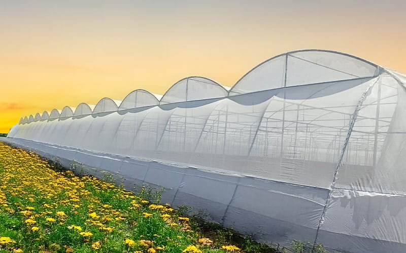 Dome Shape Net House