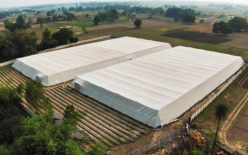 Flat-Roof Shade Net House