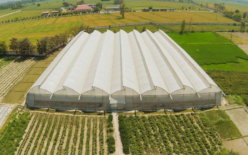 Naturally Ventilated Polyhouse