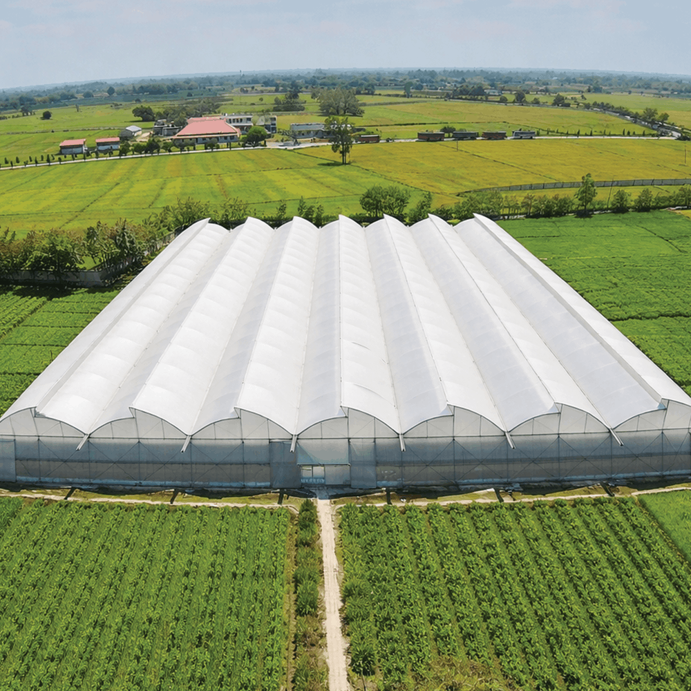 A New Name. The Same Legacy. A Bigger Vision.