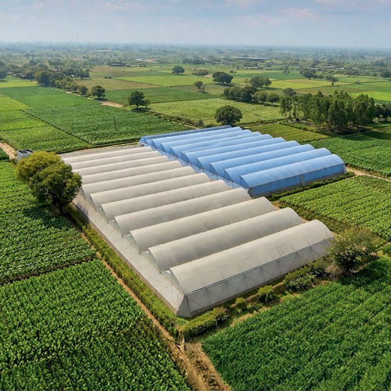 Not All Greenhouse Films Are Created Equal — Choose Ginegar, Choose Results