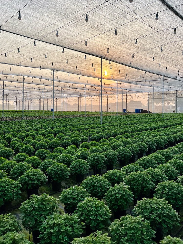 Precision Shade Management — Engineered for Every Crop & Climate