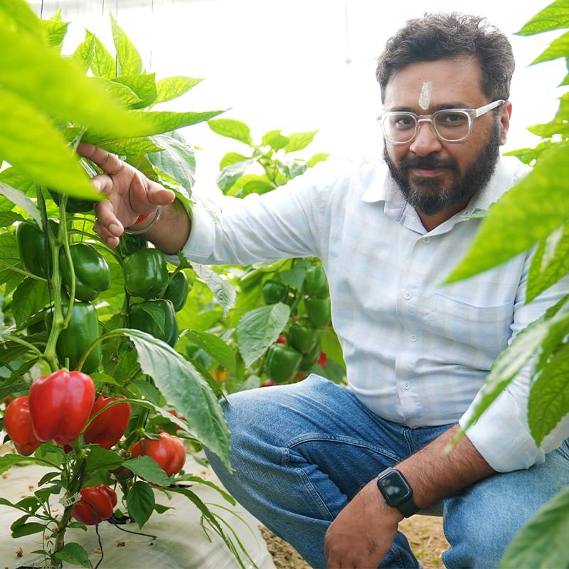 Farmers Who Trusted Agrifirst