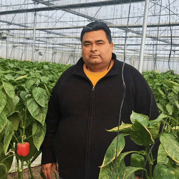 From Education Sector to Protected Farming