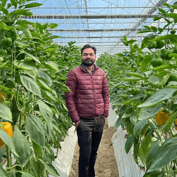 From Traditional Farming to Protected Cultivation