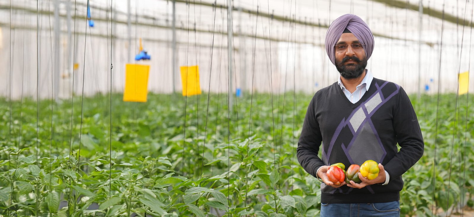 From First-time Doubt to ₹1 Crore+ with Protected Farming