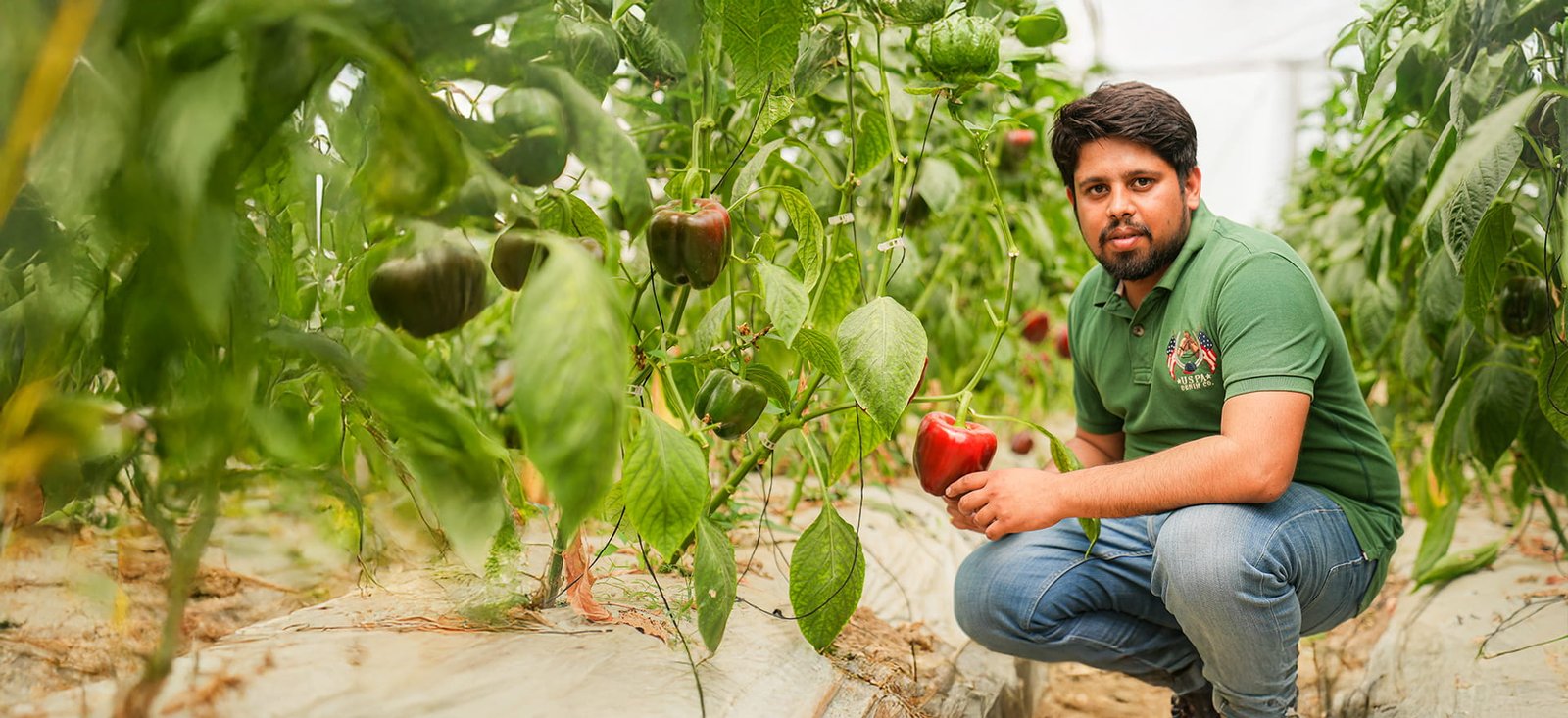From Traditional Farming to₹60+ Lakhs with Protected Cultivation