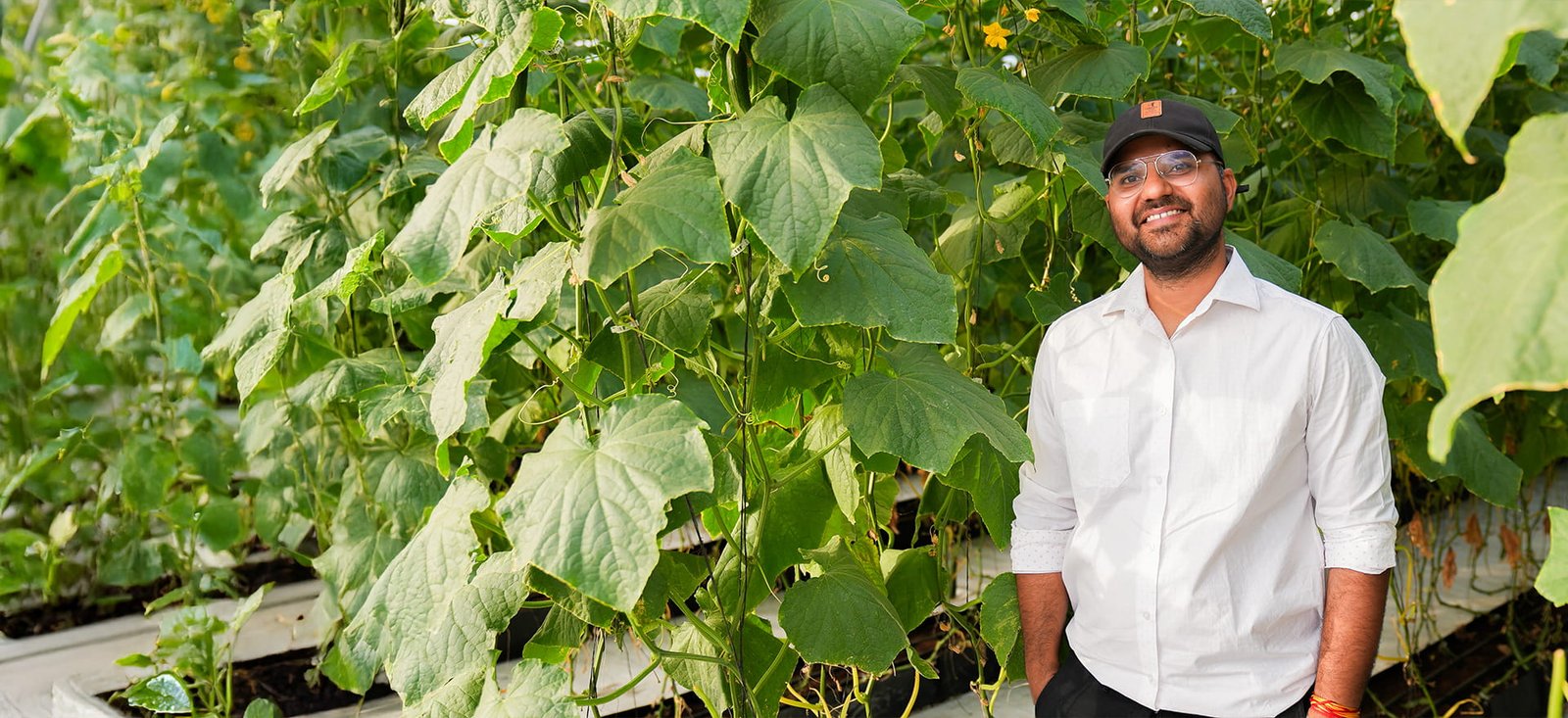 Growing more than Code