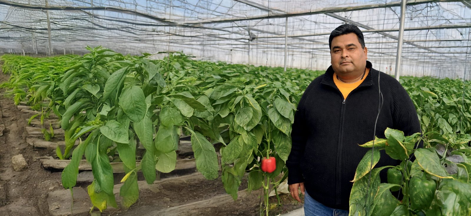 From Education Leadership to Profitable Protected Farming