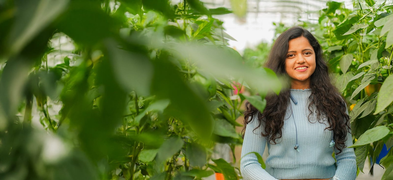 From Learning to Leading in Protected Farming