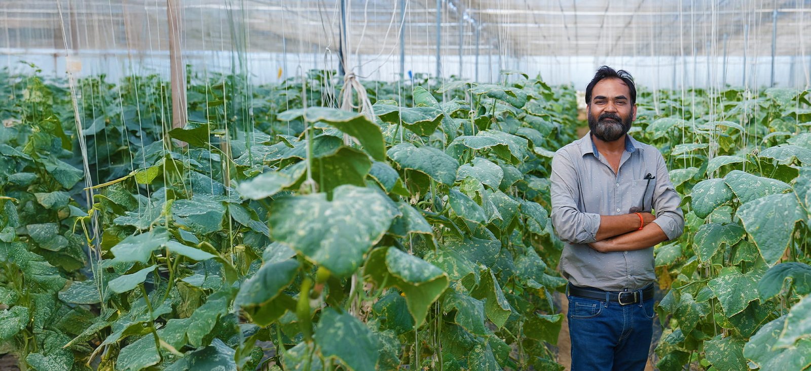 From Traditional Farming to Profitable Protected Cultivation