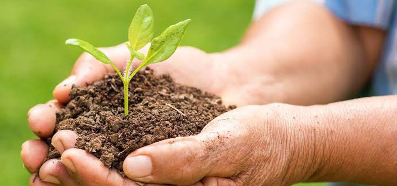 Crop nutrition and fertigation challenges in protected cultivation