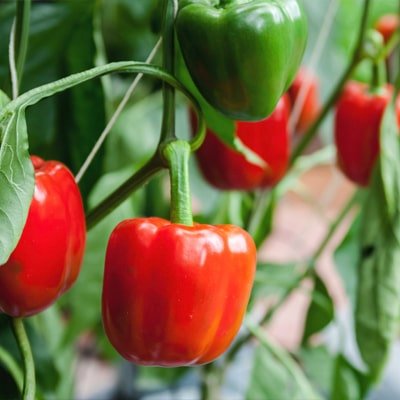 Durable farming structures