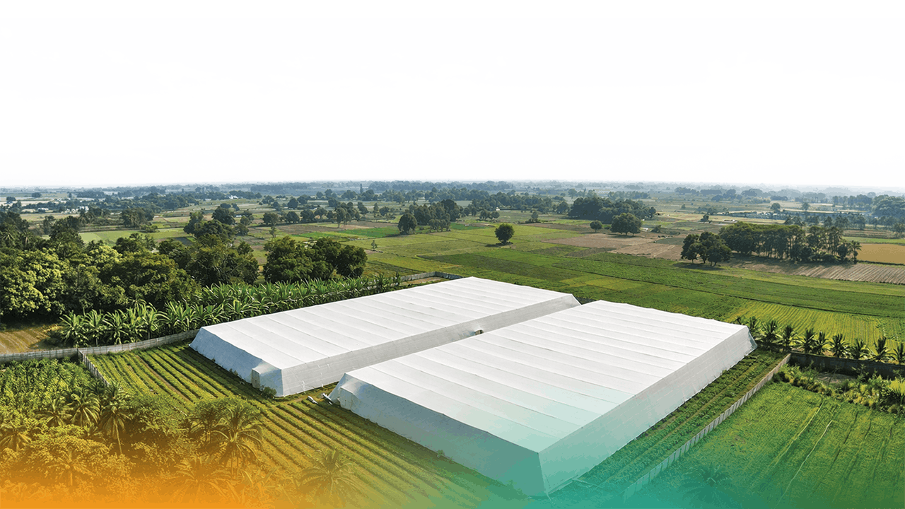 Aerial view of a 10-acre commercial net house project